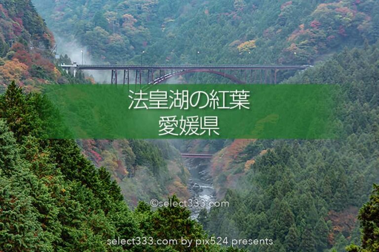 四国中央市