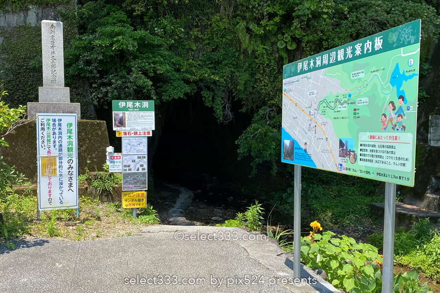 伊尾木洞（いおきどう）