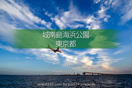 城南島海浜公園で飛行機撮影！羽田の離着陸が間近で見える撮影地！都内の航空機撮影地
