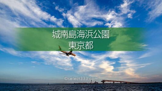 城南島海浜公園で飛行機撮影！羽田の離着陸が間近で見える撮影地！都内の航空機撮影地
