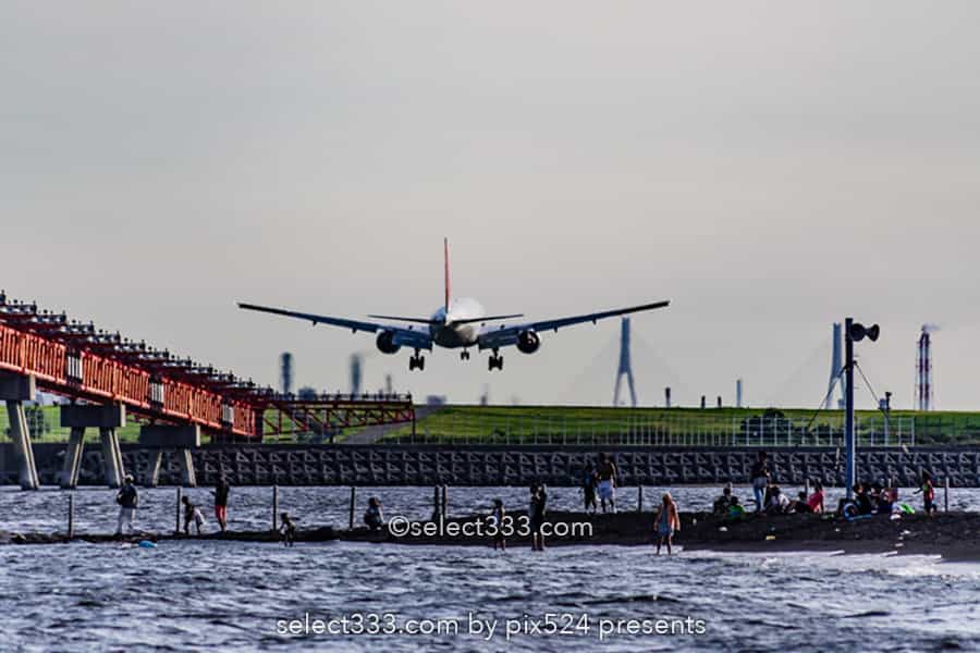 城南島海浜公園で飛行機撮影！羽田の離着陸が間近で見える撮影地！都内の航空機撮影地