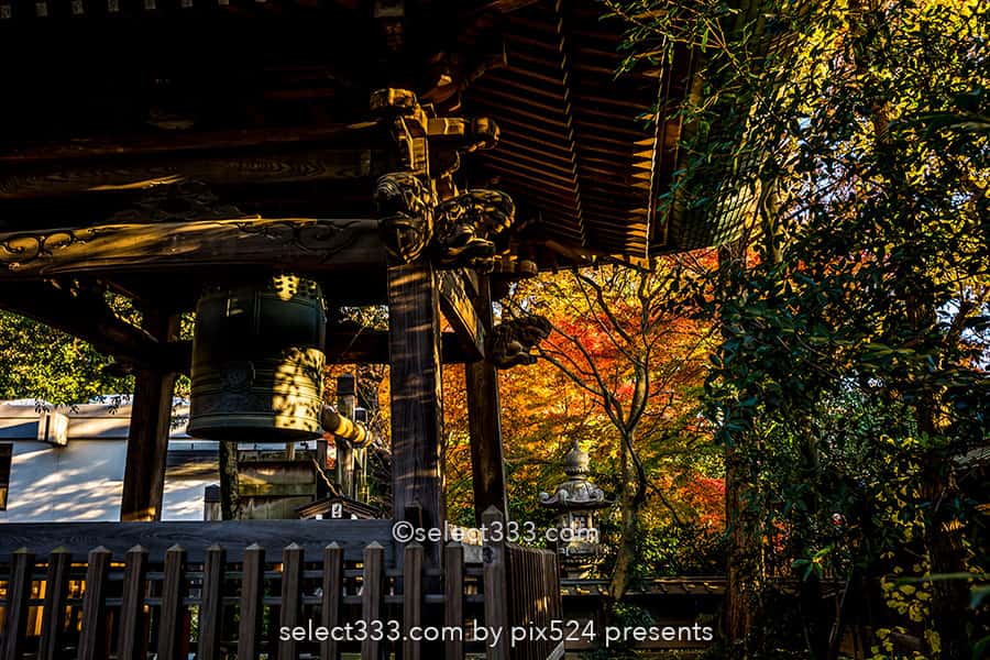 深大寺の紅葉撮影！深大寺周辺の散歩エリアと秋の紅葉スポット！調布エリアの観光地