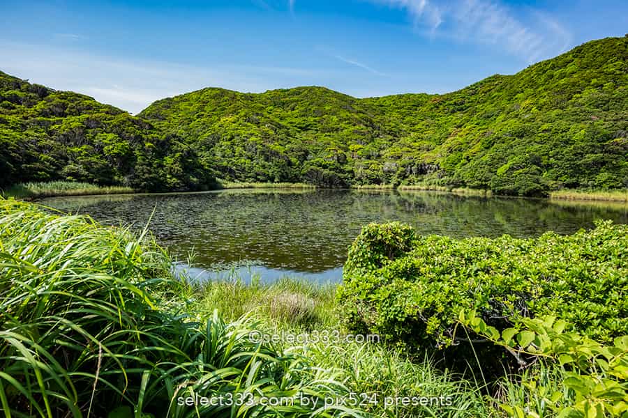 蒲生田岬（かもだみさき）：見どころ満載スポット四国最東端の岬！徳島県の絶景スポット