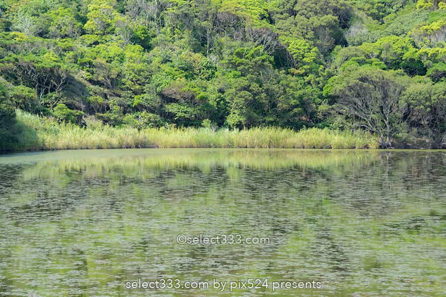 蒲生田岬（かもだみさき）：見どころ満載スポット四国最東端の岬！徳島県の絶景スポット