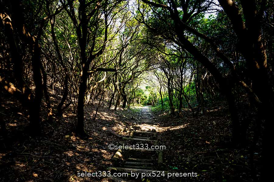 蒲生田岬（かもだみさき）：見どころ満載スポット四国最東端の岬！徳島県の絶景スポット