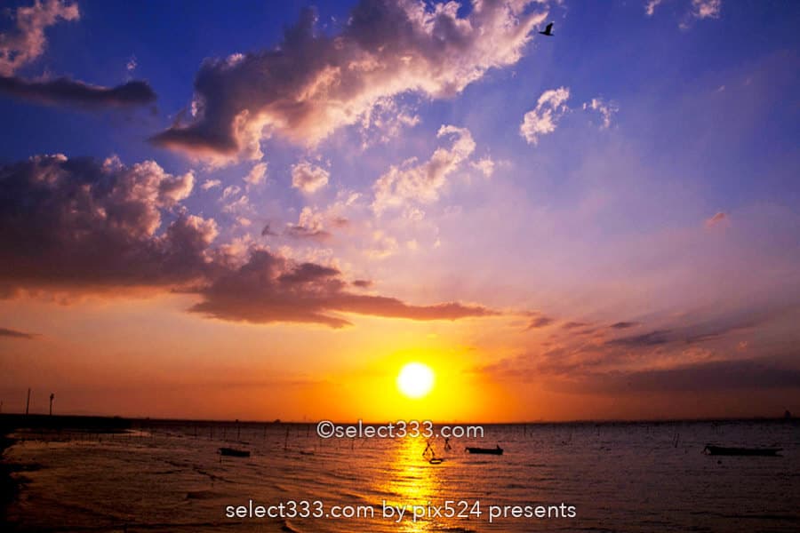 金田みたて海岸の夕日・夕焼け撮影地！富士山も見える海の風景！内房の夕陽スポット