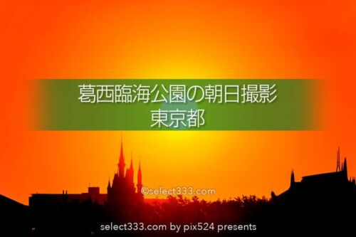 葛西臨海公園から日の出・月の出撮影！シンデレラ城と撮る朝日！東京の初日の出スポット