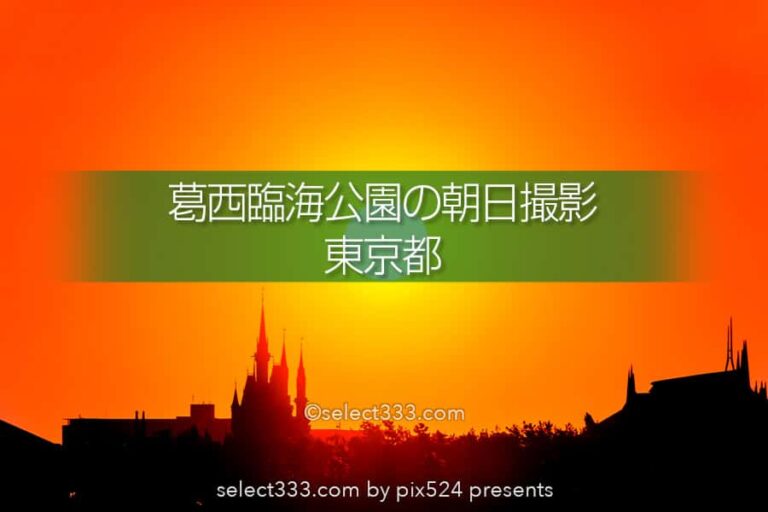 葛西臨海公園から日の出・月の出撮影！シンデレラ城と撮る朝日！東京の初日の出スポット