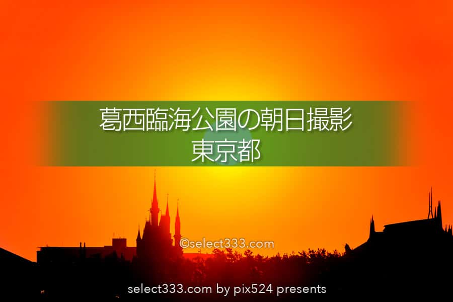 葛西臨海公園から日の出・月の出撮影!シンデレラ城と撮る朝日!東京の初日の出スポット