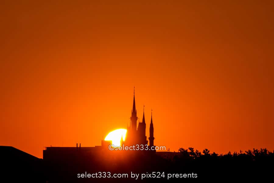 葛西臨海公園から日の出・月の出撮影！シンデレラ城と撮る朝日！東京の初日の出スポット