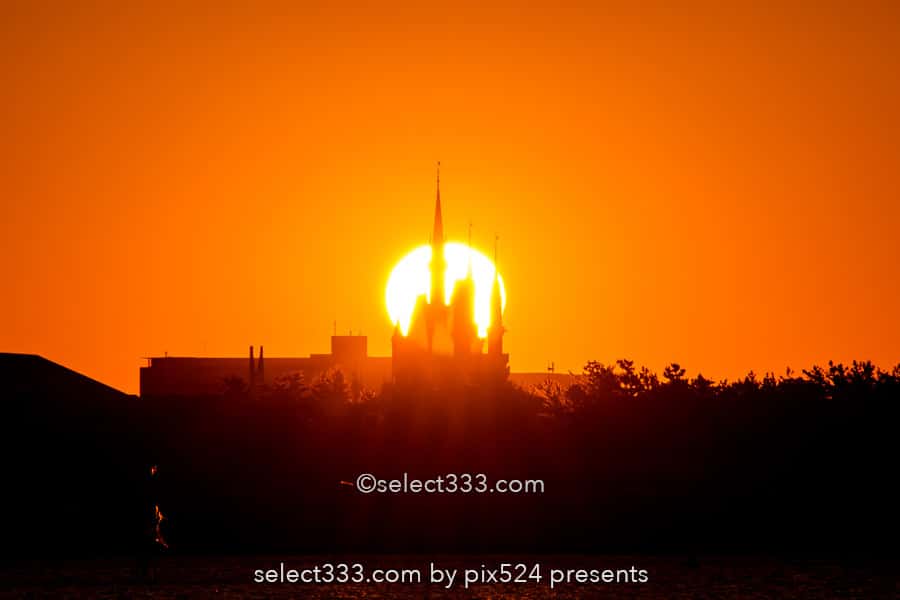 葛西臨海公園から日の出・月の出撮影！シンデレラ城と撮る朝日！東京の初日の出スポット
