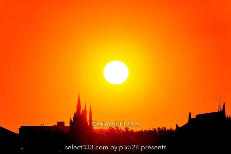 葛西臨海公園から日の出・月の出撮影！シンデレラ城と撮る朝日！東京の初日の出スポット