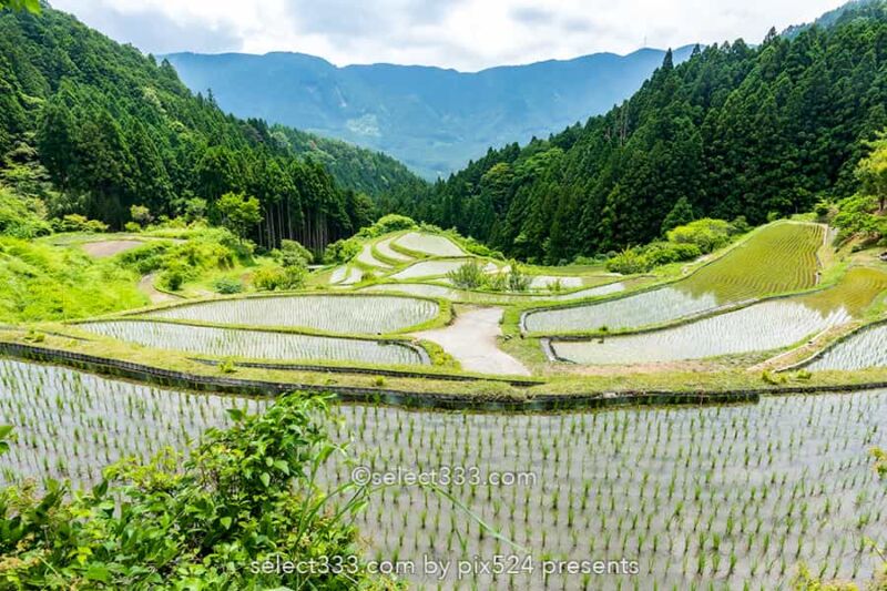 樫原の棚田!長閑な景色に触れられる徳島県の棚田と里山の風景!山犬嶽の麓の里山