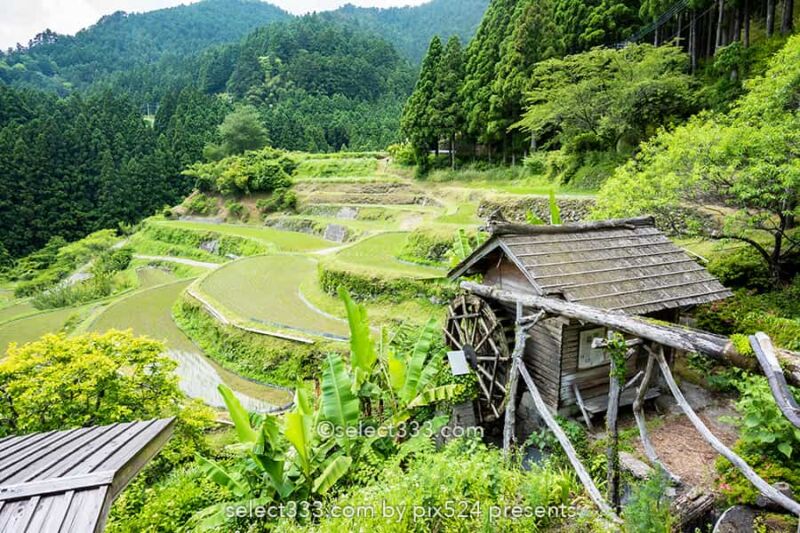 樫原の棚田!長閑な景色に触れられる徳島県の棚田と里山の風景!山犬嶽の麓の里山