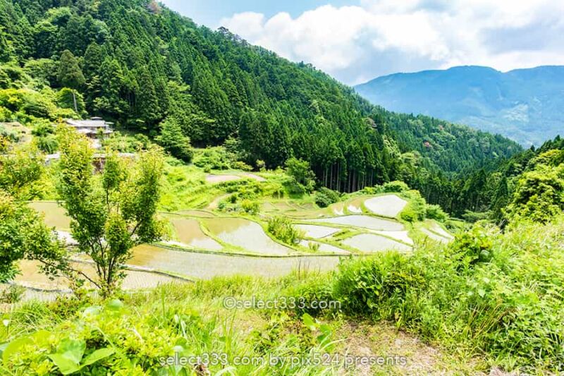 樫原の棚田!長閑な景色に触れられる徳島県の棚田と里山の風景!山犬嶽の麓の里山