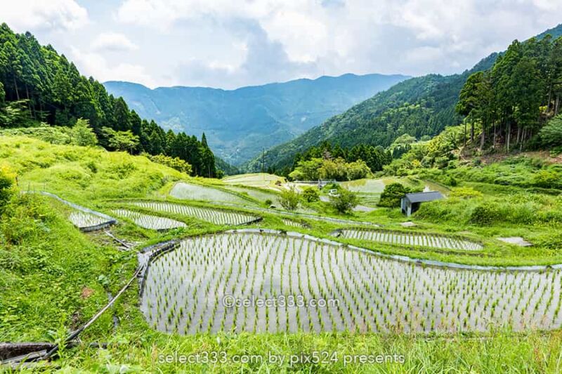 樫原の棚田!長閑な景色に触れられる徳島県の棚田と里山の風景!山犬嶽の麓の里山