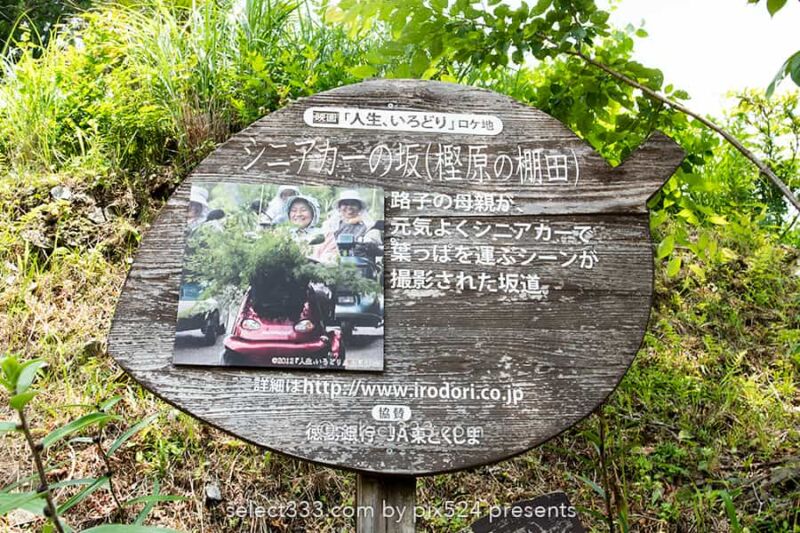 樫原の棚田!長閑な景色に触れられる徳島県の棚田と里山の風景!山犬嶽の麓の里山