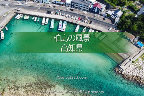 透き通る海 柏島の漁港風景！エメラルドグリーンの美しい海岸！楽園と呼べるフォトスポット