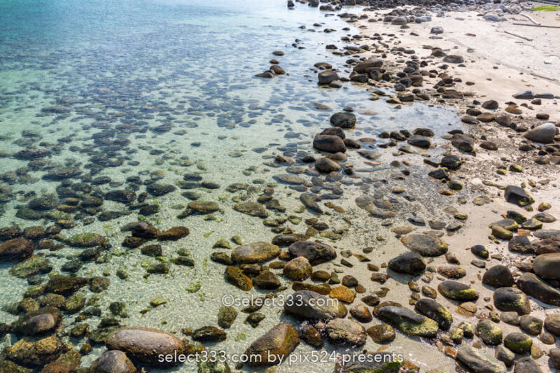 透き通る海 柏島の漁港風景！エメラルドグリーンの美しい海岸！楽園と呼べるフォトスポット