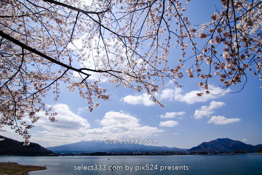 河口湖と富士山の撮影！湖畔から富士山ビューのベスポジはどこ？富士五湖の撮影地
