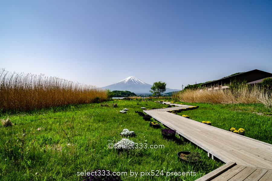 河口湖と富士山の撮影！湖畔から富士山ビューのベスポジはどこ？富士五湖の撮影地