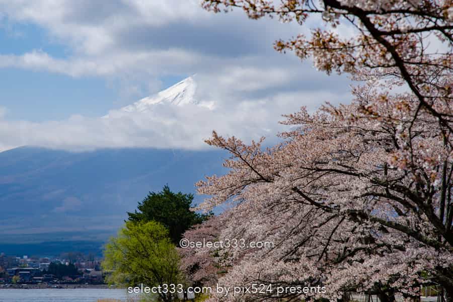 河口湖と富士山の撮影！湖畔から富士山ビューのベスポジはどこ？富士五湖の撮影地