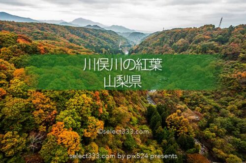 川俣川の紅葉を八ヶ岳高原大橋で！秋のドライブ紅葉スポット！紅葉撮影ポイント