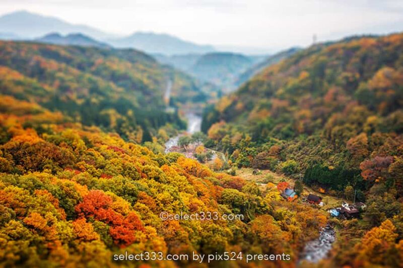 川俣川の紅葉を八ヶ岳高原大橋で！秋のドライブ紅葉スポット！紅葉撮影ポイント