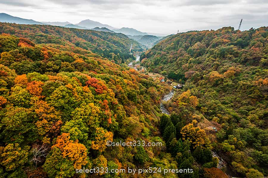 川俣川の紅葉を八ヶ岳高原大橋で！秋のドライブ紅葉スポット！紅葉撮影ポイント