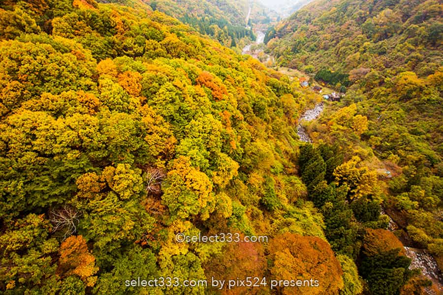 川俣川の紅葉を八ヶ岳高原大橋で！秋のドライブ紅葉スポット！紅葉撮影ポイント