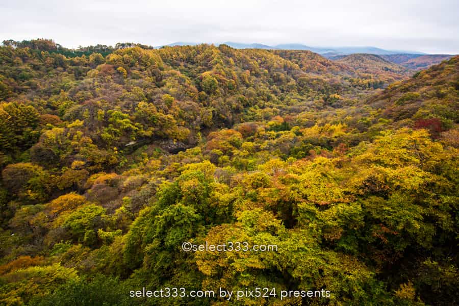 川俣川の紅葉を八ヶ岳高原大橋で！秋のドライブ紅葉スポット！紅葉撮影ポイント