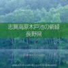 木戸池の美しい朝霧風景！志賀高原の新緑リフレクション撮影地！森林の鏡面風景