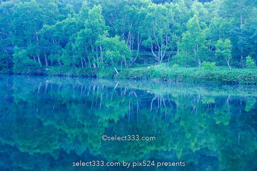 木戸池の美しい朝霧風景!志賀高原の新緑リフレクション撮影地!森林の鏡面風景