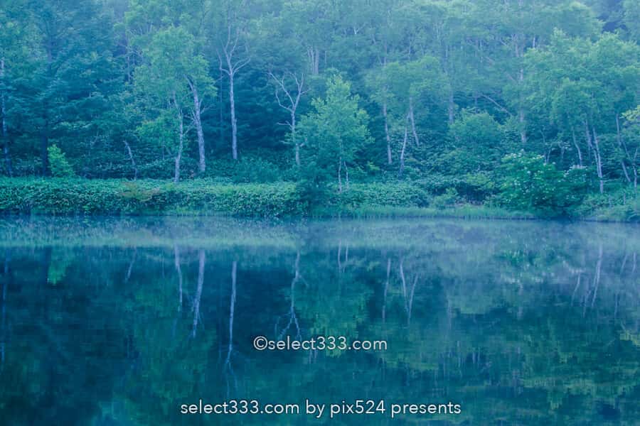 木戸池の美しい朝霧風景!志賀高原の新緑リフレクション撮影地!森林の鏡面風景