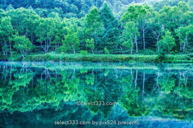 木戸池の美しい朝霧風景！志賀高原の新緑リフレクション撮影地！森林の鏡面風景
