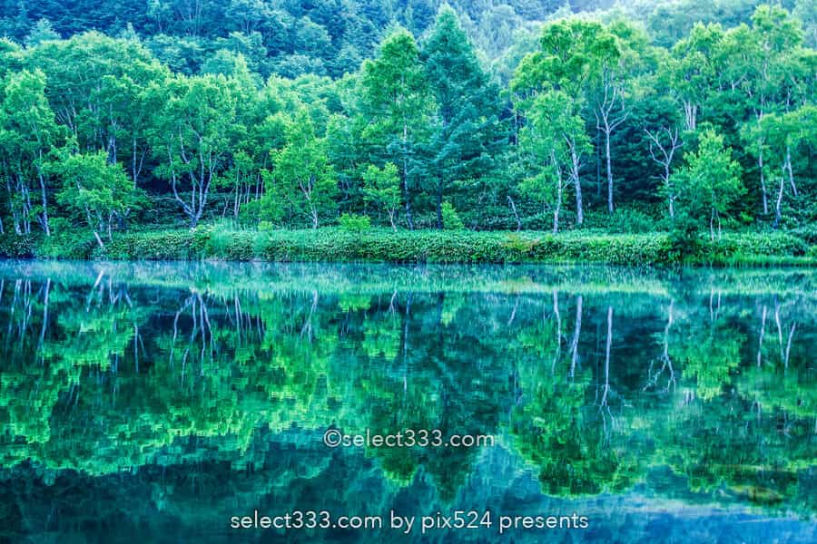 木戸池の美しい朝霧風景!志賀高原の新緑リフレクション撮影地!森林の鏡面風景
