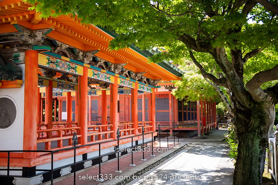 潮聲山耕三寺(耕三寺博物館):国内の著名建造物を体感できる寺!生口島にある寺の風景