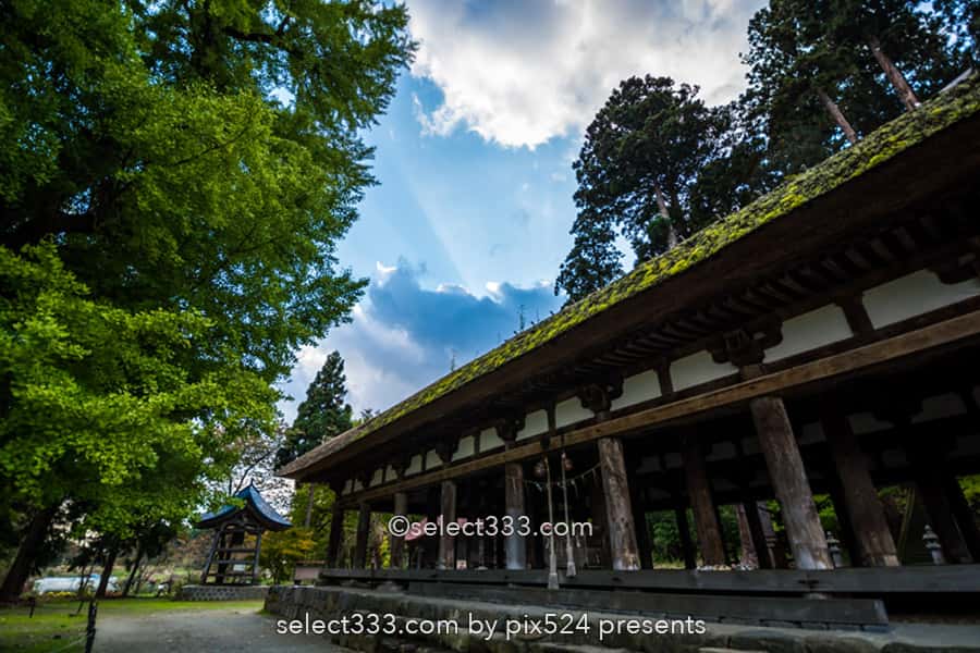 新宮熊野神社の長床と大イチョウ！黄葉が見事な喜多方の名勝！熊野三山を祀る神社