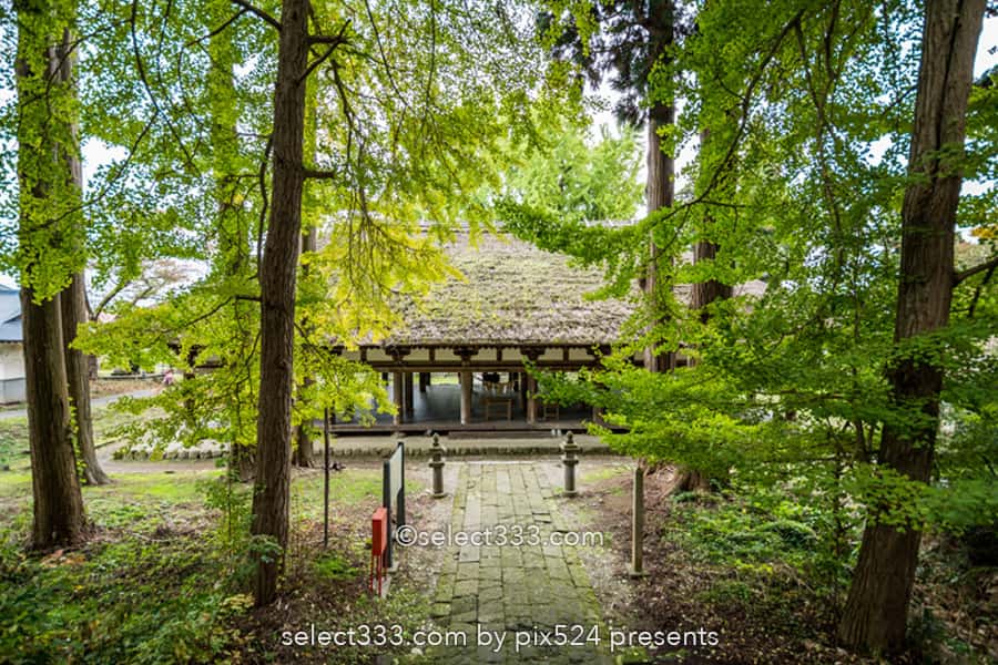 新宮熊野神社の長床と大イチョウ！黄葉が見事な喜多方の名勝！熊野三山を祀る神社