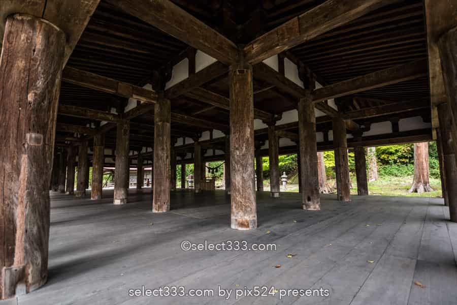 新宮熊野神社の長床と大イチョウ！黄葉が見事な喜多方の名勝！熊野三山を祀る神社