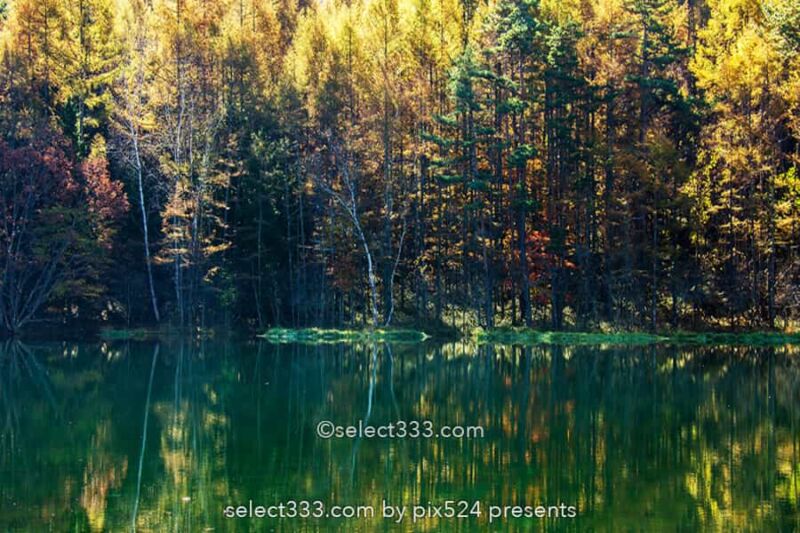 【御射鹿池】長野県奥蓼科の絶景池の四季風景！春夏秋冬の御射鹿池！茅野市の美しい自然
