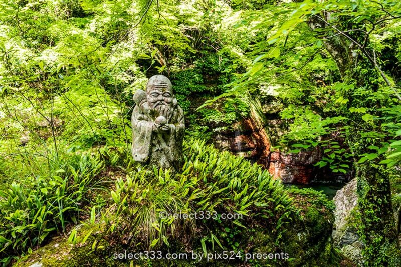 中津渓谷・雨竜の滝：仁淀川町で見られる美しい渓谷と滝の風景！高知県の景勝地