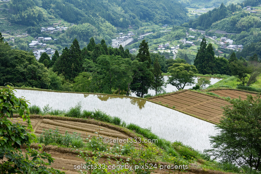 【なんてん展望台】土佐町の美しい棚田は里山の原風景が残る地！棚田をドローン撮影