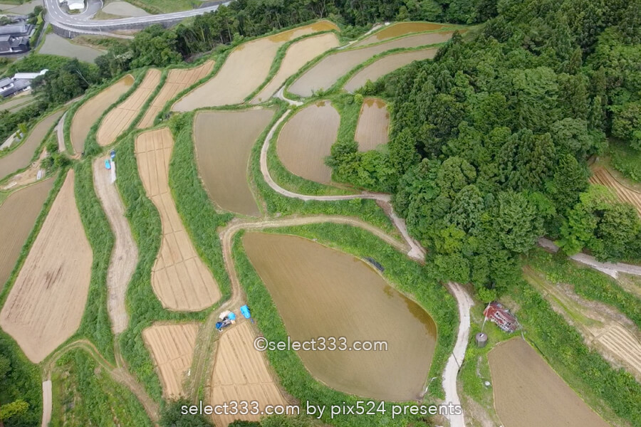 【なんてん展望台】土佐町の美しい棚田は里山の原風景が残る地！棚田をドローン撮影