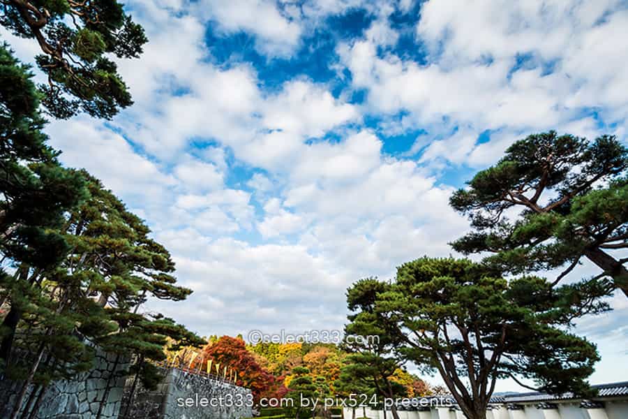 二本松城の紅葉撮影！福島県の名城霞ヶ城公園の紅葉の見頃風景！福島県の秋の景色