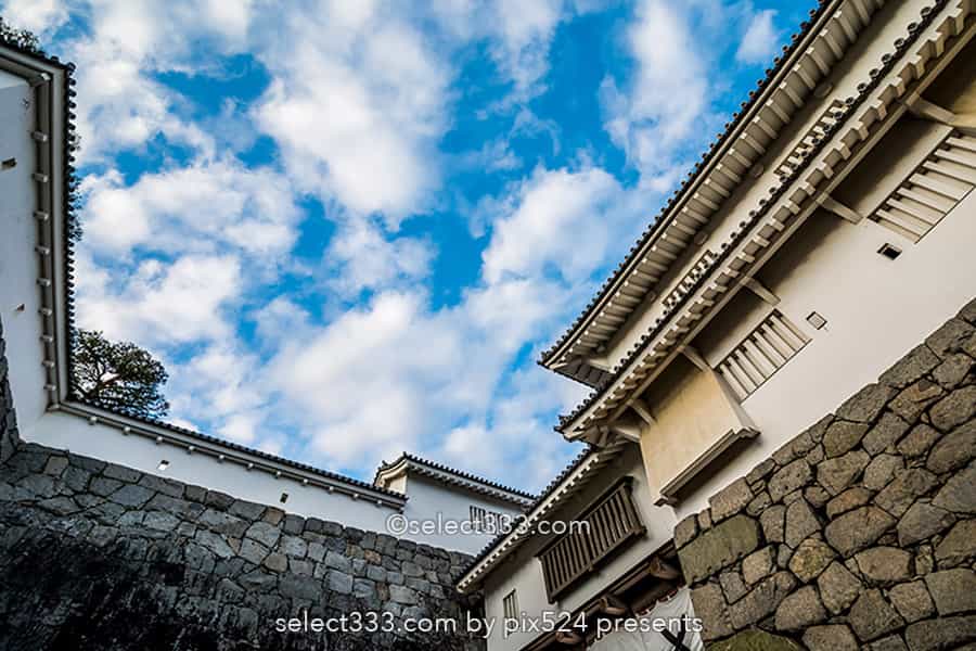 二本松城の紅葉撮影！福島県の名城霞ヶ城公園の紅葉の見頃風景！福島県の秋の景色