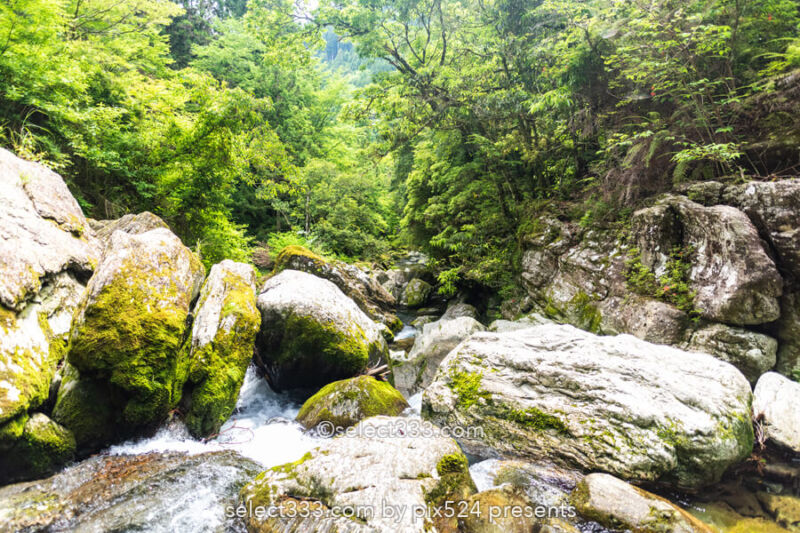 「にこ淵」仁淀ブルーの撮影スポット！四国の絶景渓流撮影地！高知県の美しい風景