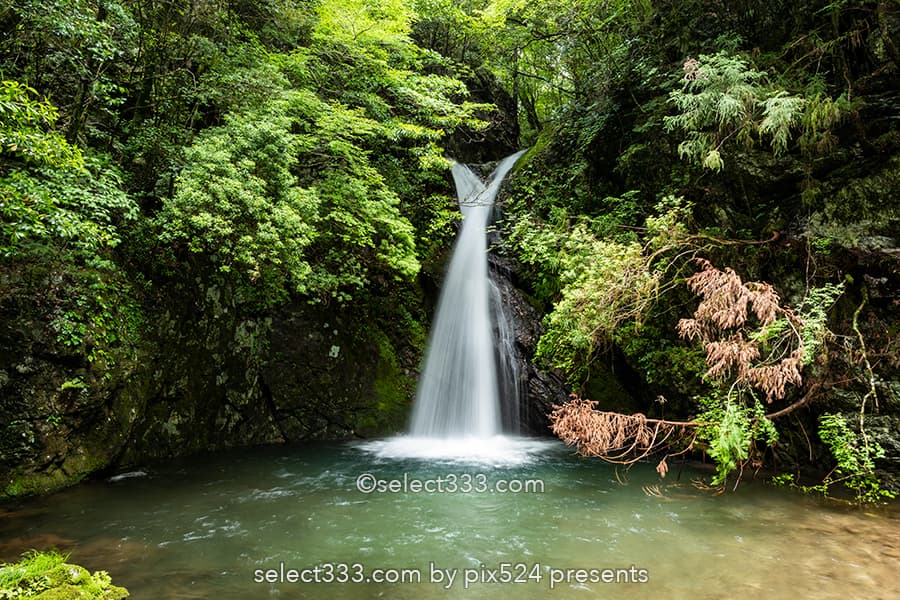 追合の滝:四万十川源流点付近にある歴史的に曰くある小さな滝!高知県の水辺風景