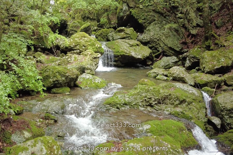 追合の滝:四万十川源流点付近にある歴史的に曰くある小さな滝!高知県の水辺風景