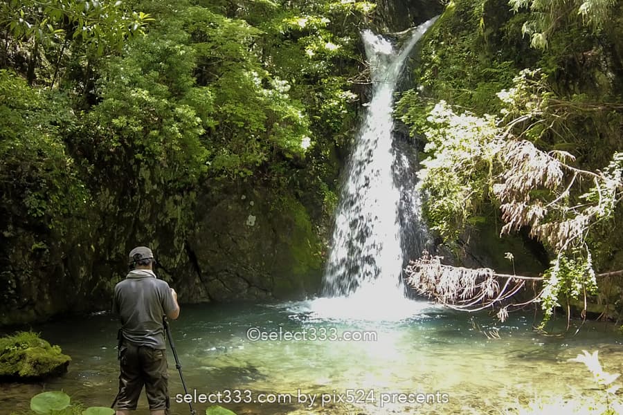 追合の滝:四万十川源流点付近にある歴史的に曰くある小さな滝!高知県の水辺風景